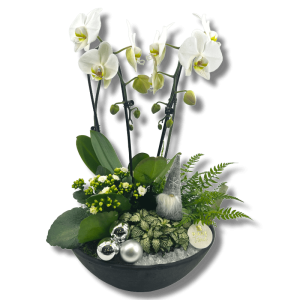 Orchidee arrangement Zilver