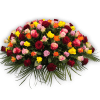 Druppel gemengde rozen
