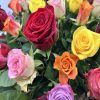Druppel gemengde rozen - Afbeelding 3