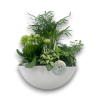 Plantenbakje gemixt