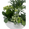 Plantenbakje gemixt - Afbeelding 2