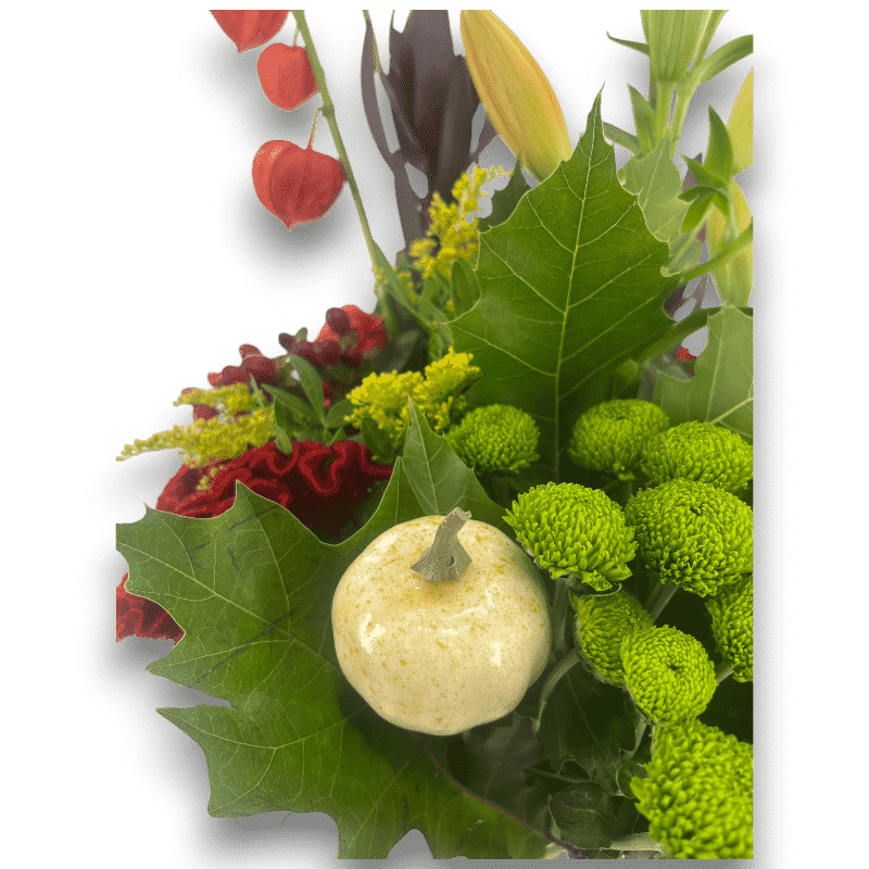 Boswandeling - Afbeelding 3