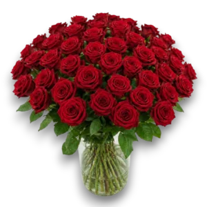 50 Rode rozen