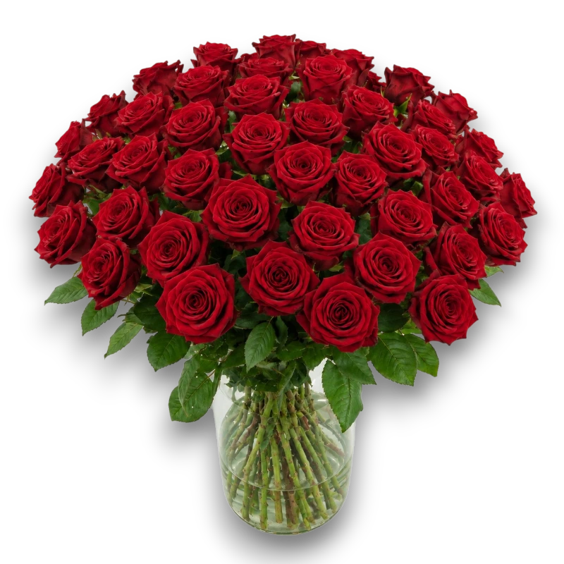 50 Rode rozen